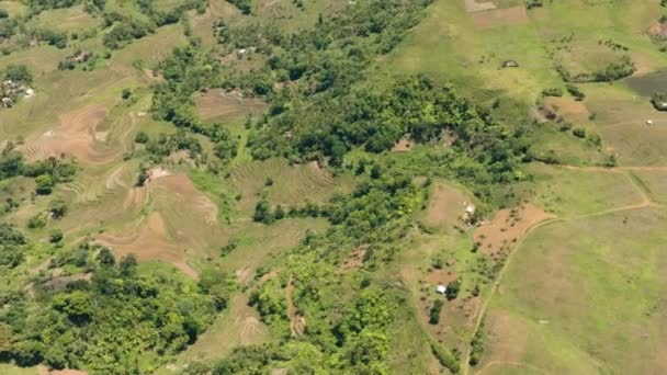 农业景观的空中景观与农田在农村 Negros 菲律宾 — 图库视频影像