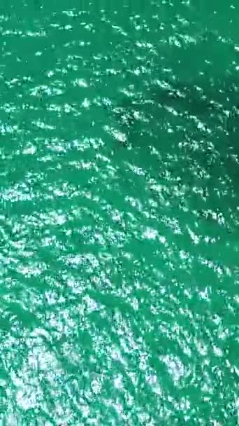 Поверхность Бирюзовой Лагуны Атолле Коралловом Рифе Пространство Копирования Текста Вертикальное — стоковое видео