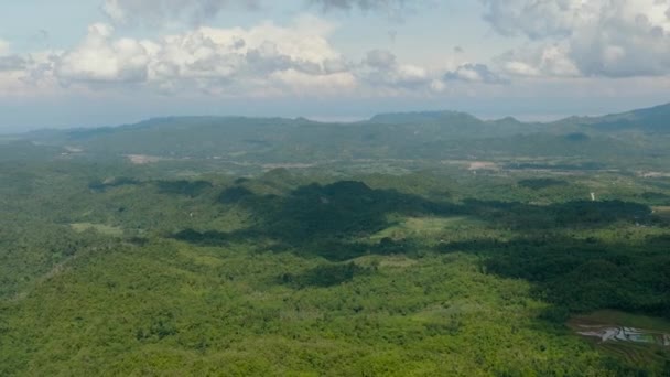 熱帯の緑の植生や木々と山や丘 フィリピンのネグロス — ストック動画