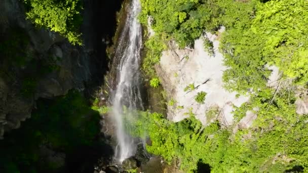 Водопад Джунглей Тропическом Лесу Окруженный Зеленой Растительностью Негрос Филиппины — стоковое видео