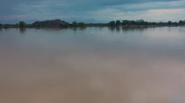 Günbatımında tropiklerde kuşlar gölün üzerinde uçar. Panama Wewa Gölü, Sri Lanka 'da. Arugam Körfezi.