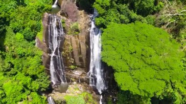 Yeşil bitki örtüsüyle çevrili tropikal bir ormanda orman şelalesi. Hunas Şelalesi dağ ormanında. Hunnasgirya, Sri Lanka.
