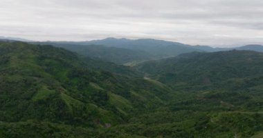 Dağlar ve tepeler, yeşil ormanlar ve tropiklerde ağaçlar. Sumatra, Endonezya.