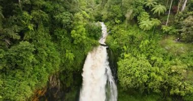 Telun Berasap Şelalesi 'nin dağ ormanındaki hava aracı. Yeşil bitki örtüsüyle çevrili bir şelale. Sumatra, Jambi, Endonezya.