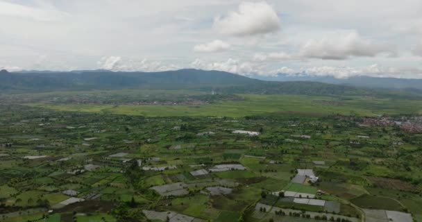 Dağlık Bölgede Ekinleri Olan Tarım Arazisi Çiftliğin Havadan Görünüşü Kayu — Stok video