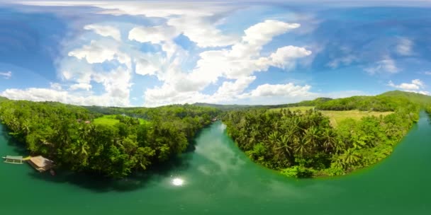 Rio Floresta Tropical Entre Vegetação Exuberante Verde Vista Para Rio — Vídeo de Stock
