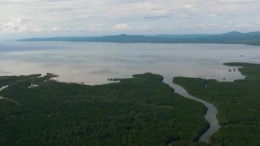 Borneo adası ve deniz kıyısındaki Mangrovlar. Mangrovlu olsun. Malezya.