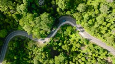 Dağlar ve orman arasında kıvrımlı bir yol. Sumatra, Endonezya.
