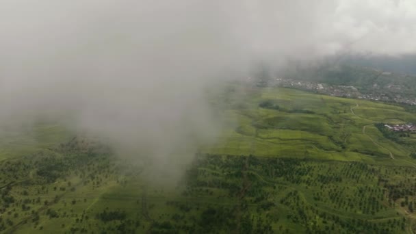 Aerial Drone Tea Estate Sumatra Kayu Aro Mountain Tea Plantation — Stock Video