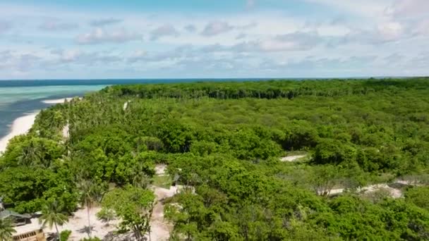 Island Beautiful Beach Palm Trees Turquoise Water View Patongong Island — 비디오
