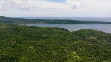 Tropiklerde yağmur ormanı ve orman. Weh Adası, Aceh, Endonezya.
