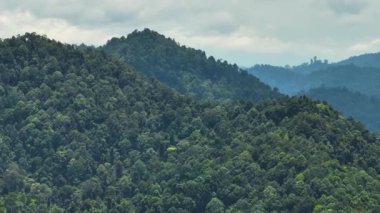 Yağmur ormanları ve ormanlarla kaplı dağ yamaçları. Borneo, Malezya.