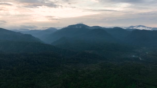Légi Kilátás Hegyi Lejtők Borított Esőerdő Dzsungel Naplementekor Bukit Lawang — Stock videók