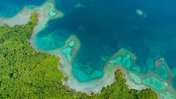 Laguna Teluk Pantai Pulau Dengan Hutan Borneo Sabah Malaysia Stok Gambar