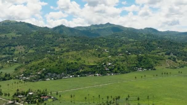 Vista Aérea Las Plantaciones Caña Azúcar Tierras Cultivo Las Montañas — Vídeos de Stock