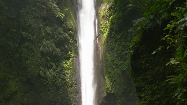 Καταρράκτης Στην Τροπική Ζούγκλα Του Βουνού Στο Casaroro Falls Negros — Αρχείο Βίντεο