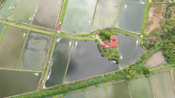 Luftdrohnen Von Bauernhäusern Zwischen Ackerland Und Landwirtschaftlichen Flächen Negros Philippinen — Stockvideo