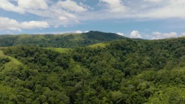 Dağların hava aracı yağmur ormanlarını, ağaçları ve mavi gökyüzünü bulutlarla kapladı. Sumatra, Endonezya.