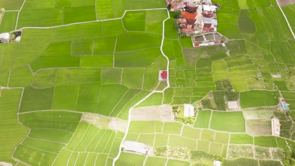 Mezőgazdasági Terület Zöldségültetéssel Mezőgazdasági Táj Szumátrában Indonéziában — Stock videók