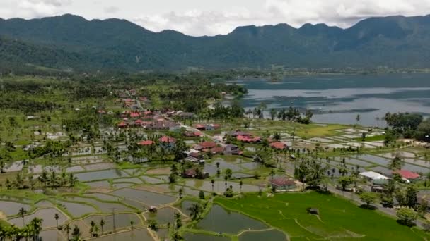 Dorp Tussen Rijstvelden Landbouwgrond Het Maninjau Meer Sumatra Indonesië — Stockvideo
