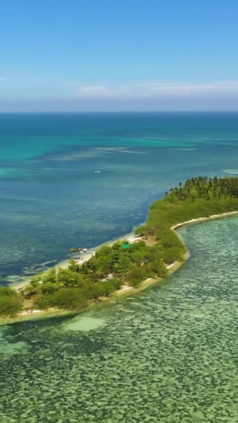 Остров Красивым Пляжем Пальмы Бирюзовой Воды Остров Тандуйонг Филиппины Вертикальное — стоковое видео