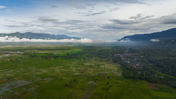 Widok Lotu Ptaka Polami Uprawnymi Ryżowymi Sumatra Indonezja — Zdjęcie stockowe