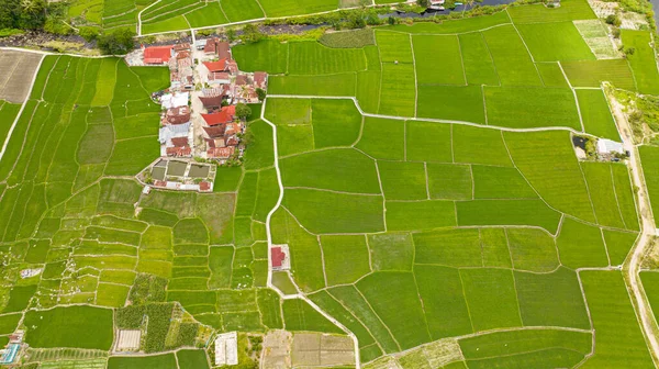 Αεροφωτογραφία Γεωργικής Γης Φύτευση Λαχανικών Αγροτικό Τοπίο Στη Σουμάτρα Ινδονησία — Φωτογραφία Αρχείου