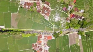 Sebze ekme manzaralı tarım arazisi. Sumatra, Endonezya 'da tarım arazisi.