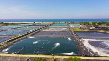 Filipinler 'de bir karides çiftliğinde gölet pompalamak. Havalandırmalı karides çiftliği..