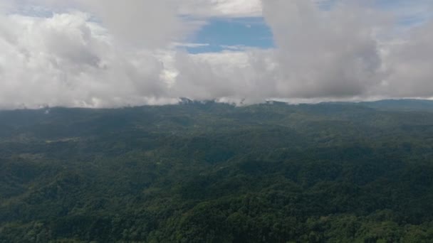 Luchtfoto Van Jungle Bergen Sumatra Indonesië — Stockvideo