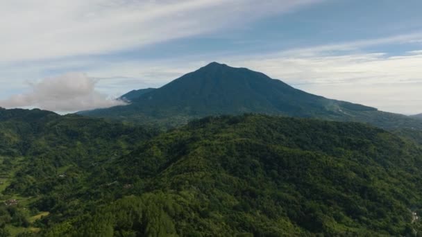 Encostas Montanha Cobertas Com Floresta Tropical Vista Selva Cima Sumatra — Vídeo de Stock