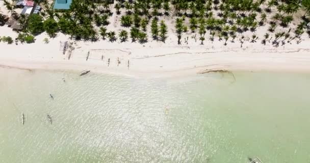 Pemandangan Udara Pantai Tropis Berpasir Dengan Pohon Palem Dan Laut — Stok Video