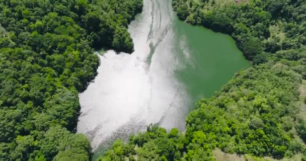 Гірські Озера Серед Тропічних Лісів Негрос Філіппіни — стокове відео