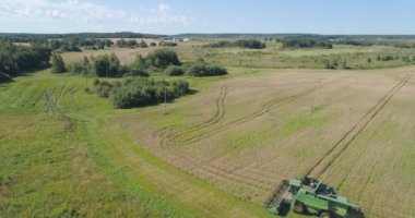 Hasat işindeki hasatçıyı tarla buğdayını hasat ederken birleştirin. Hava manzaralı biçerdöver olgun dikenler, arpa ve çavdar biçer. Bir çiftlikte hasatçı hasadı olgunlaşmış buğdayı birleştirin.