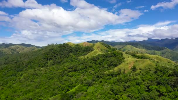 Colline Montagne Ricoperte Erba Verde Foresta Pluviale Uno Sfondo Cielo — Video Stock