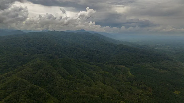 Paysage Montagneux Avec Des Sommets Couverts Forêt Sumatra Indonésie — Photo