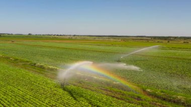 Tarım arazisinin yukarıdan sulama sistemiyle sulanması. Tarım arazilerini sulayan bir sulama rotası. Sulama sistemi tarım arazilerini suluyor.