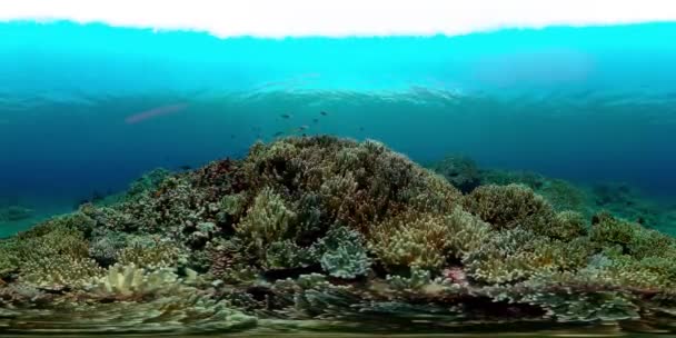 Podvodní Rybí Útes Korálové Útesy Seascape Pod Vodou Virtuální Realita — Stock video