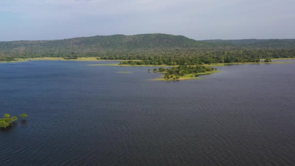 Jezioro Tle Gór Lasów Tropikalnych Dżungli Czołg Kantale Sri Lanka — Wideo stockowe