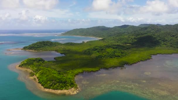 Letecký Pohled Tropický Ostrov Džunglí Tropickou Vegetací Ostrov Palaui Santa — Stock video