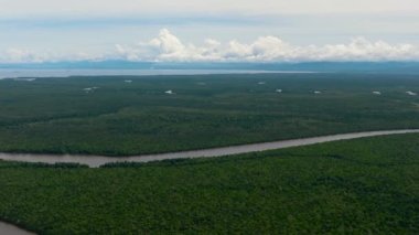 Mangrovları ve bataklıkları olan sulak alanlar. Menumbok orman rezervi. Borneo, Sabah, Malezya.