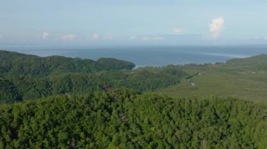 Borneo adasının, tropikal bitki örtüsünün ve ormanın havadan görünüşü. Sabah, Malezya.