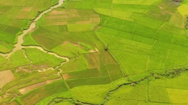 Tarım arazisi, pirinç tarlaları ve tarım arazileri olan bir hava aracı. Filipinler.