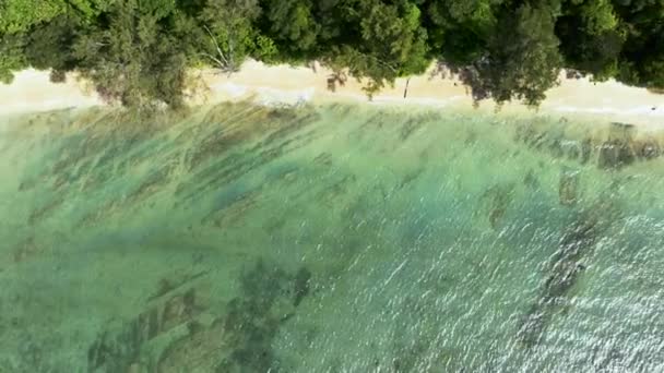Luchtfoto Van Tropisch Strand Jungle Borneo Sabah Maleisië — Stockvideo