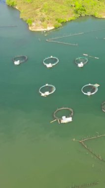 Denizde balık yetiştirmekle ilgili Çiftlik 'in hava aracı. Balık çiftliğindeki kafesler. Filipinler. Dikey video.