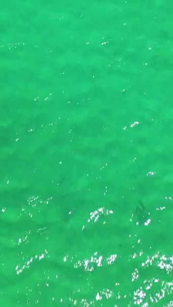 Вид Воздуха Прозрачную Бирюзовую Морскую Воду Природный Фон Вертикальное Видео — стоковое видео