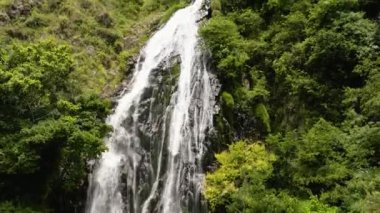 Dağlarda, yeşil ormanların arasında bir şelale. Efrata düşüyor. Sumatra, Endonezya.