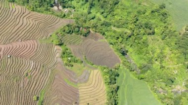 Top view of valley with farmland and fields of farmers. Negros, Philippines
