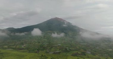 Kerinci Dağı ve dağlık arazi manzaralı çay evleri. Çay tarlaları manzarası. Sumatra, Endonezya.