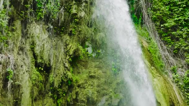 スローモーションでジャングルの中の滝のトップビュー 熱帯雨林のInambakan滝 フィリピンのセブ — ストック動画